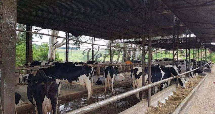 Fazenda à venda na Unaí, 1000, Mamoeiro, Unaí