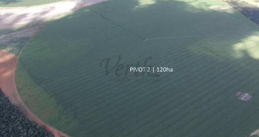Fazenda à venda na Unaí, 1000, Mamoeiro, Unaí