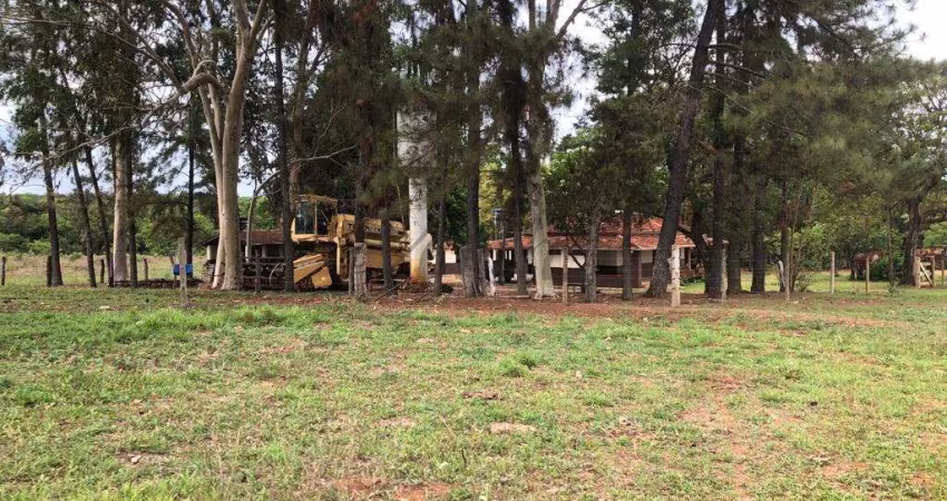 Fazenda à venda na Unaí, 1000, Mamoeiro, Unaí