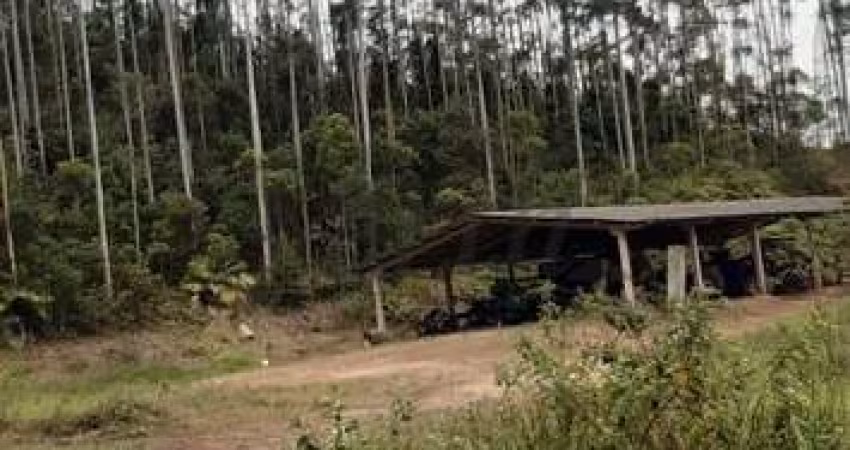 Fazenda à venda na Expedicionários de Itapeva, 1000, Parque Cimentolândia, Itapeva