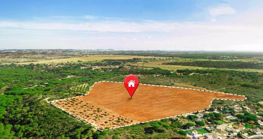 Terreno à venda no Parque dos Eucaliptos II, Mogi Guaçu 