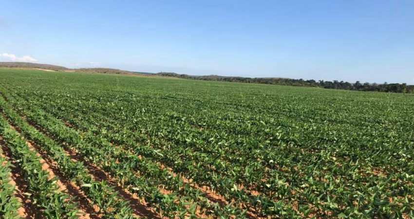 Fazenda à venda na ACSU NO 10 Avenida Joaquim Teotônio Segurado, 1, Plano Diretor Norte, Palmas