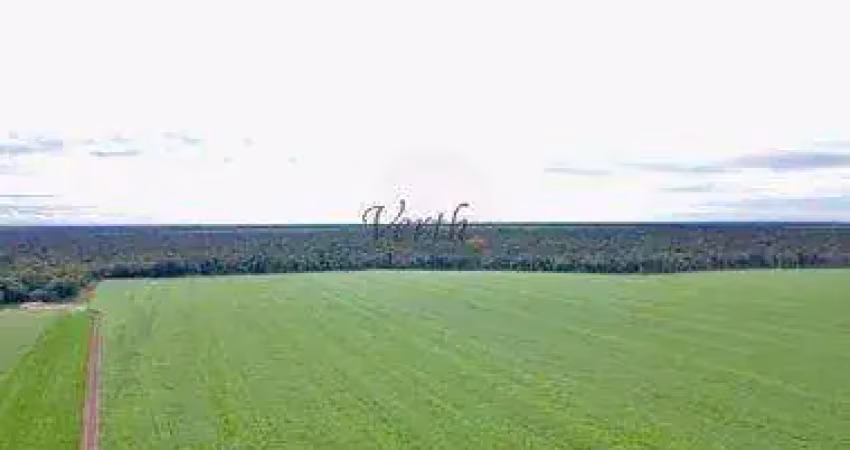 Fazenda à venda na Governador Júlio Campos, 100, Setor Comercial, Sinop