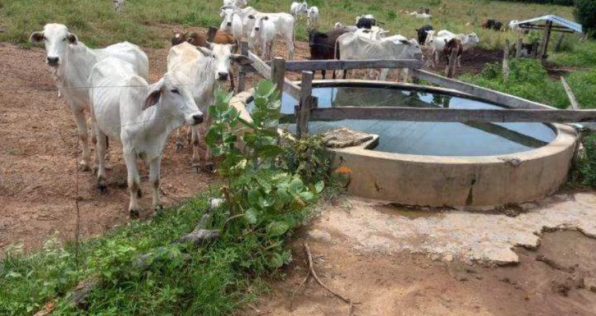 Fazenda à venda na Manoel Athaide, Sn, São Gonçalo, Janaúba
