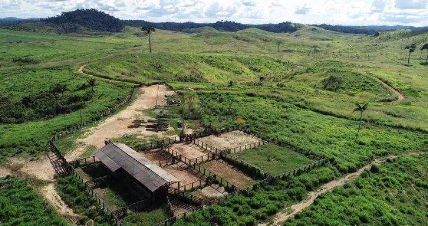Fazenda à venda na Rural, Sn, Uirapuru, Novo Repartimento