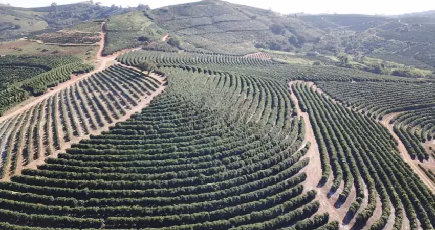 Fazenda à venda na Praça Coronel Gustavo Ribeiro, 63, 1000, Centro, Caconde