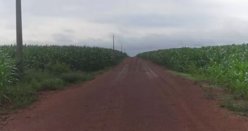 Fazenda à venda na 13 de maio, 1000, Centro, Gaúcha do Norte