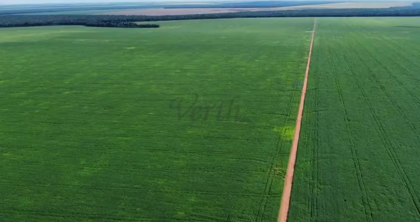 Fazenda à venda na Rua Dionizio Cerqueira 259 Lote N, 1000, Centro, Feliz Natal