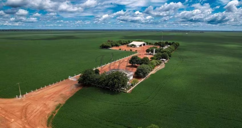 Fazenda à venda no Centro, Nova Mutum 