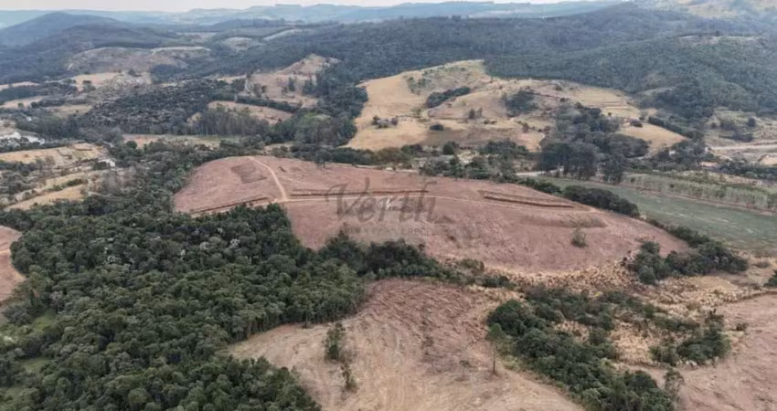 Fazenda à venda na Bernardino de Campos, 1000, Centro, Amparo
