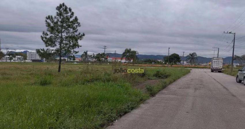 Terreno para alugar, 300 m² por R$ 1.567,22/mês - Nova Palhoça - Palhoça/SC