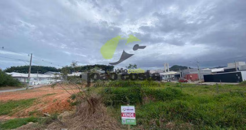 Terreno à venda, 298 m² por R$ 300.000,00 - Caminho Novo - Palhoça/SC