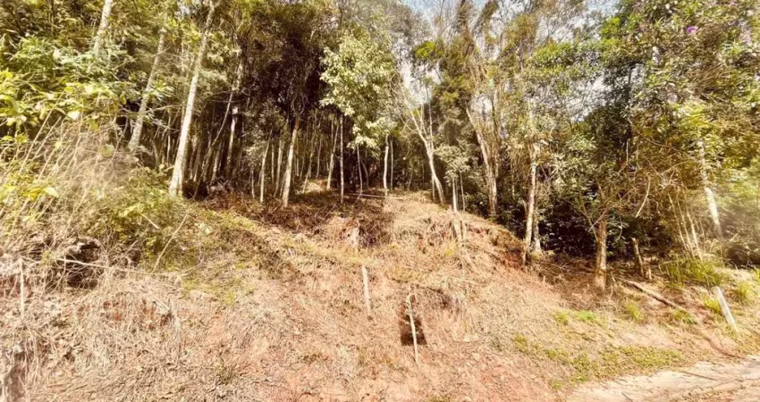 Terreno à venda no Centro, Blumenau 