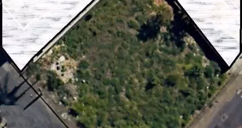 Terreno comercial para alugar na Rua Amélia Naves, Palmeiras, Belo Horizonte