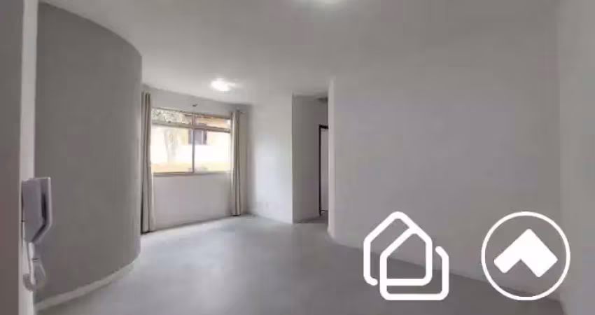 Apartamento com 2 quartos para alugar na Rua Paulo Piedade Campos, Estoril, Belo Horizonte