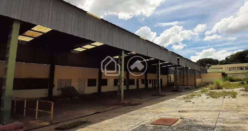 Galpão para alugar, 1.207m² por r$ 14.500,00/mês - havaí - belo horizonte/mg