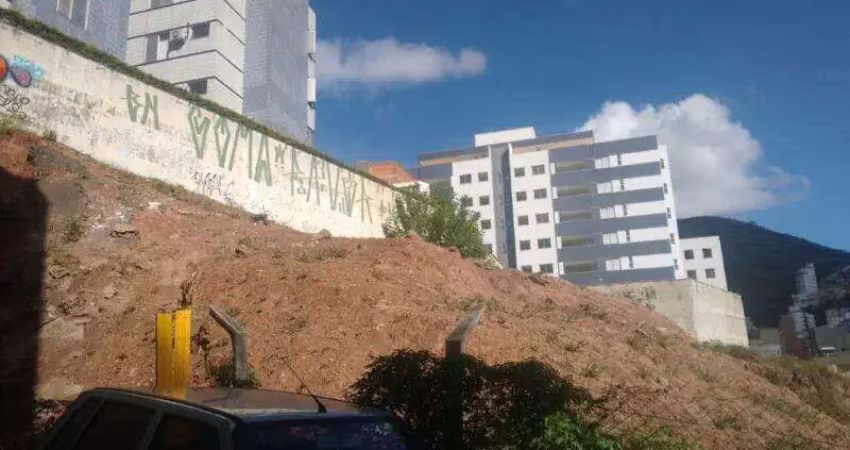 Terreno comercial para alugar na Avenida Professor Mário Werneck, Buritis, Belo Horizonte