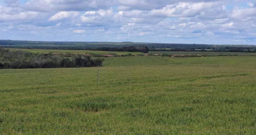 Fazenda 1.507 ha à venda Pedro Afonso-TO: Alta Produtividade