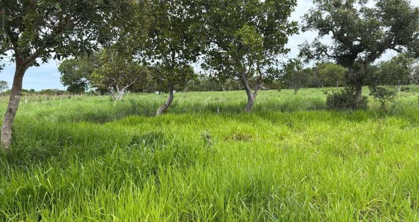 Fazenda em Paranã Tocantins - 1.643 Hectares à Venda