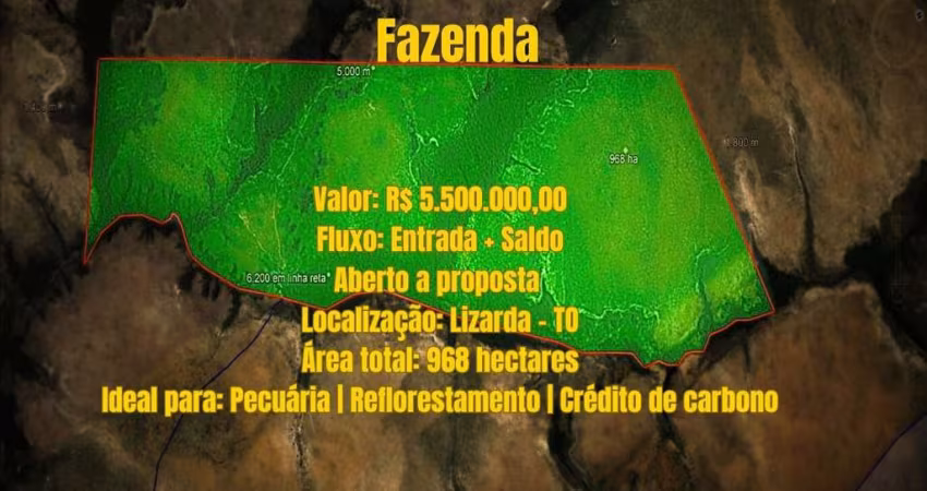 Fazenda à Venda em Lizarda TO | 968 ha com Documentação Ok