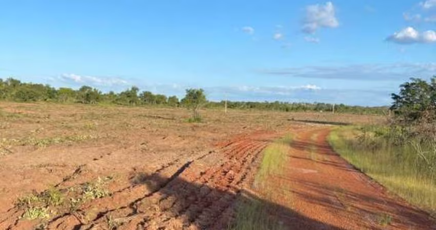 Fazenda 37 Alqueires Plana à Beira do Asfalto em TO