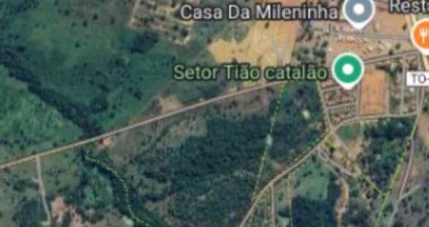 Chácara 2,5 Alqueires em Colmeia-TO com represas e pasto.