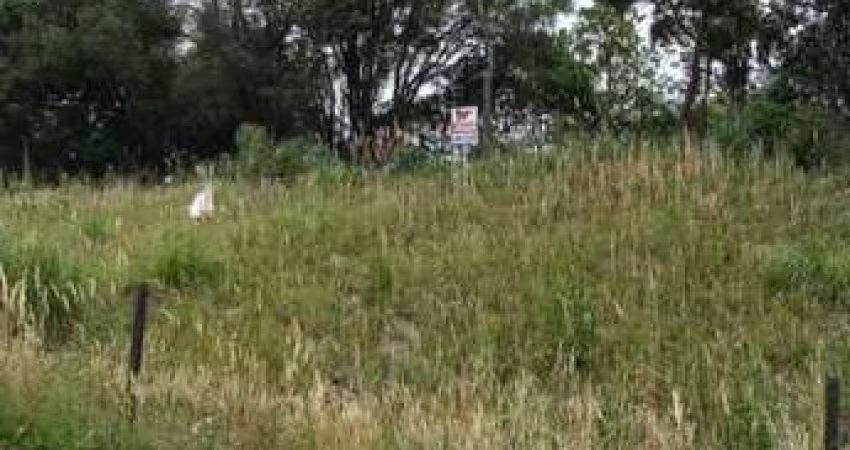 Terreno para Venda em Caxias do Sul, Vila Horn