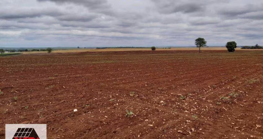 Terreno à venda, Área Rural de Nova Odessa - Nova Odessa/SP