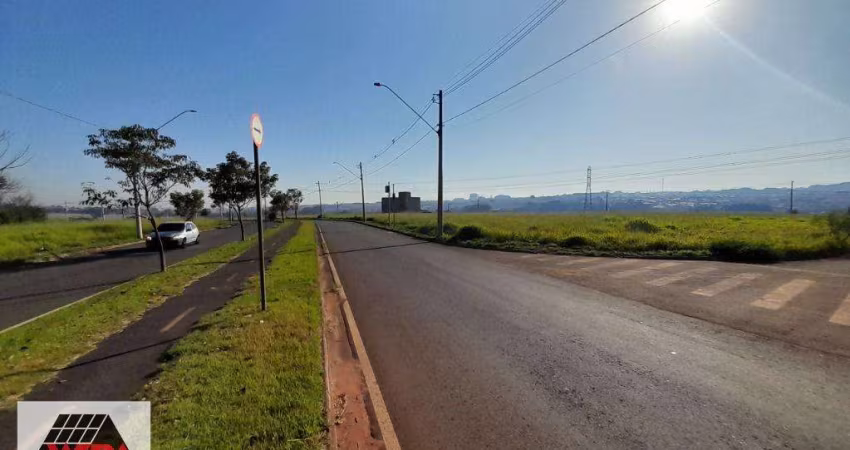 Salão para aluguel, Dodson - Santa Bárbara D'Oeste/SP