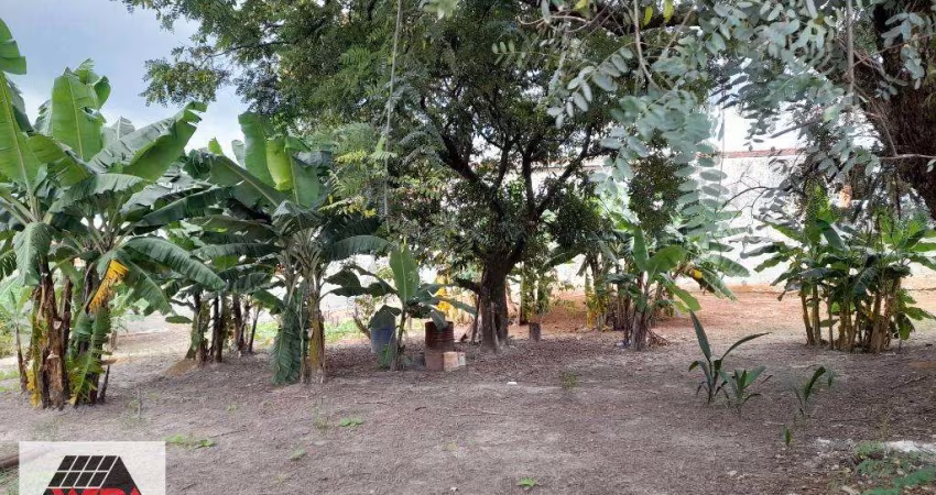 Terreno para aluguel, Centro - Americana/SP