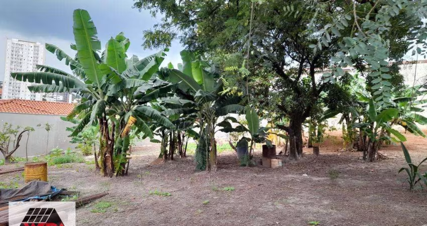 Terreno para aluguel, Centro - Americana/SP