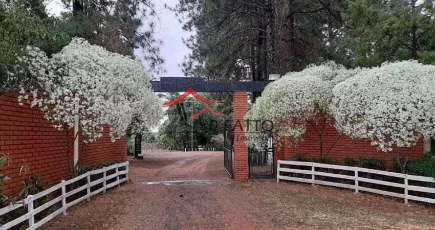 Chácara rural à venda, Novo Jardim Pagani, Bauru.