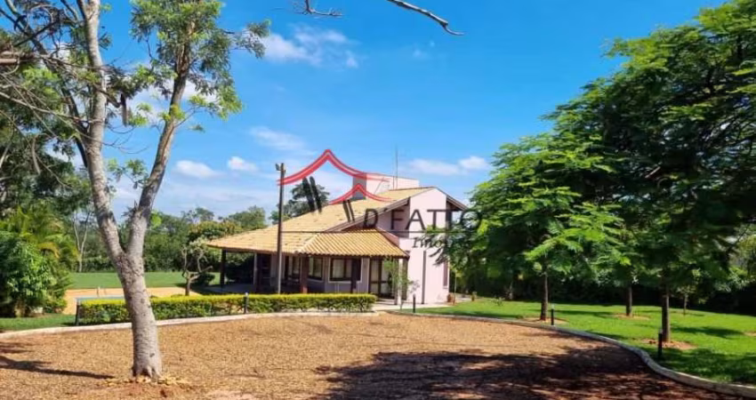 Palmas de Rey
