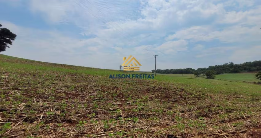 Sítio em Ibiporã com 6,7 alqueires