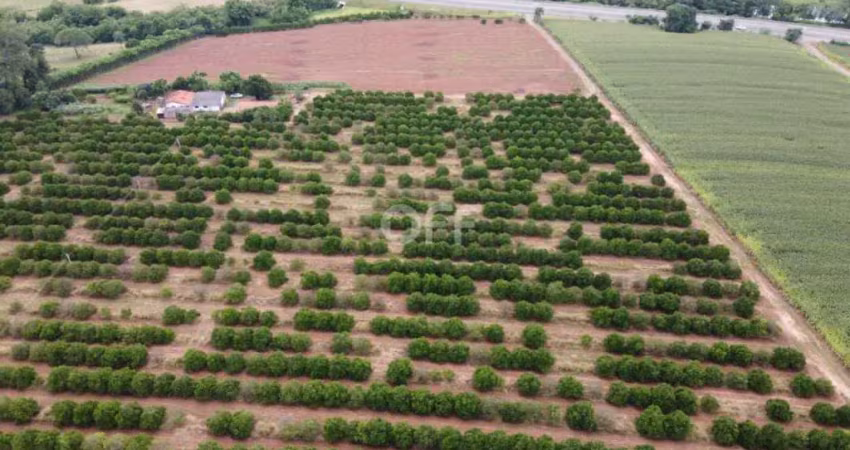 Terreno comercial à venda na Rodovia SP-147, km70, Jardim Primavera, Mogi Mirim