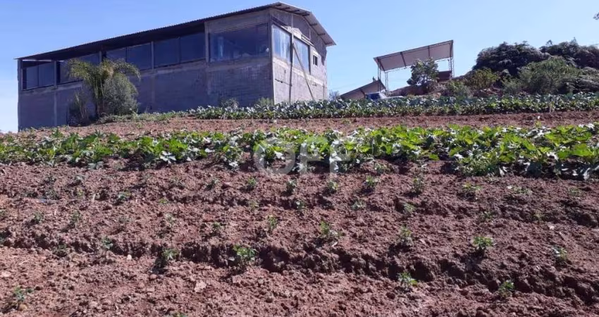 Chácara / sítio com 1 quarto à venda na Estr. Vicinal Ver. Ernesto Pires de Oliveira, KM 09, Ressaca, Ibiúna