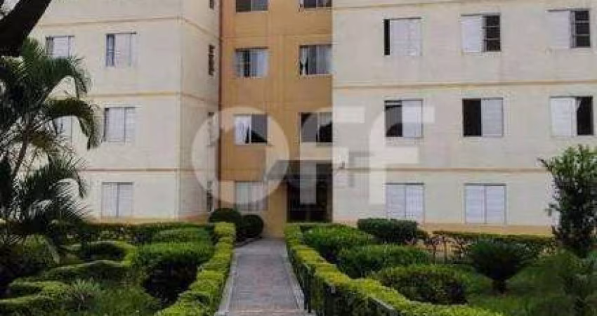 Apartamento com 3 quartos à venda na Rua Gleide Knauer Penedo, 567, Jardim do Vovô, Campinas