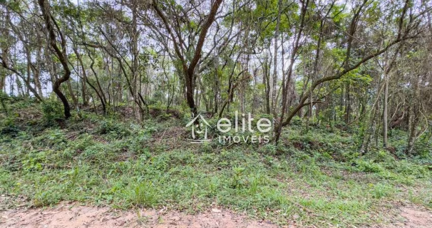 Terreno à venda, 800 m² por R$ 99.000 - Recanto dos Palmares - Atibaia/SP