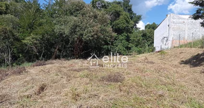 Terreno à venda, 7136 m² por R$ 200.000,00 - Estância Santa Maria do Portão - Atibaia/SP