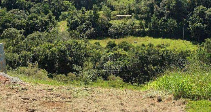 Terreno à venda, 200 m² por R$ 160.000,00 - Centro - Bom Jesus dos Perdões/SP