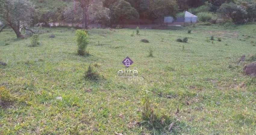 Terreno à venda, 3196 m² por R$ 215.000,00 - Cachoeirinha - Bom Jesus dos Perdões/SP