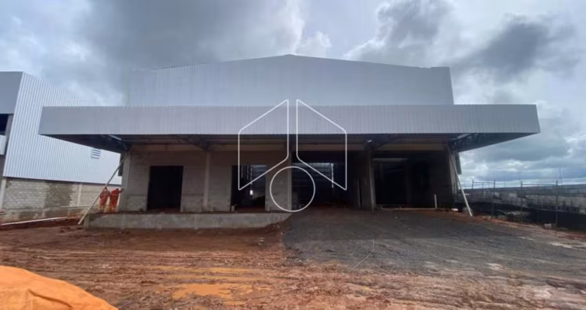 Comercial GalpãoBarracão em Marília