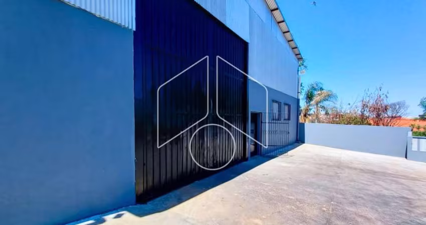 Comercial GalpãoBarracão em Marília