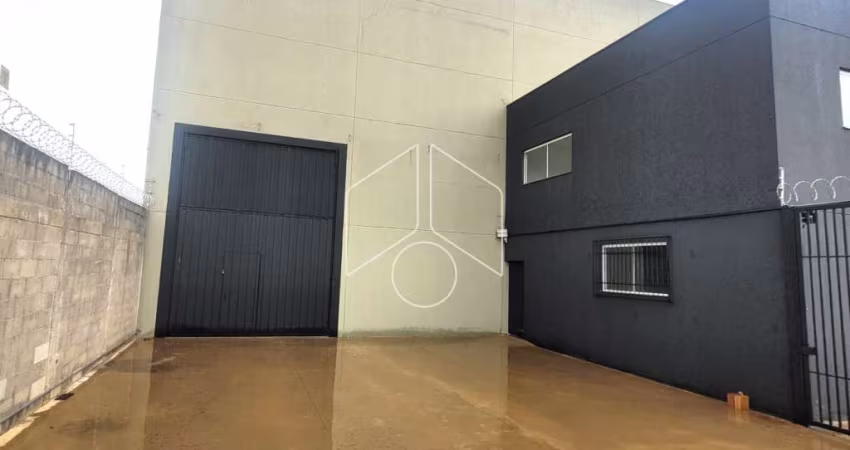 Comercial GalpãoBarracão em Marília