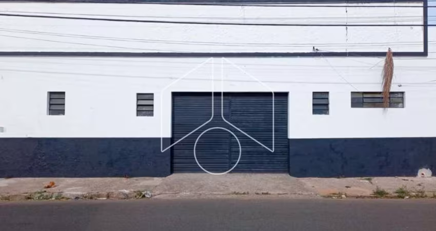 Comercial GalpãoBarracão em Marília