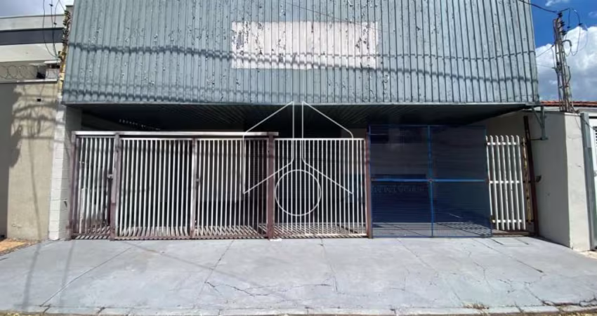 Comercial GalpãoBarracão em Marília