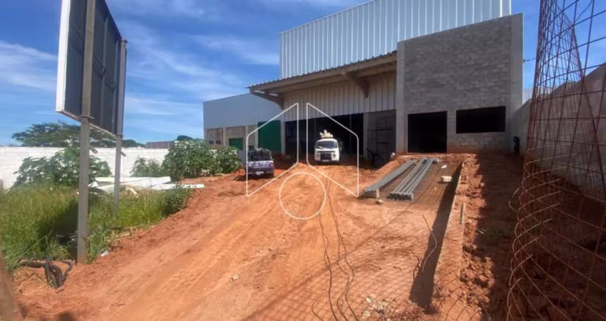 Comercial GalpãoBarracão em Marília