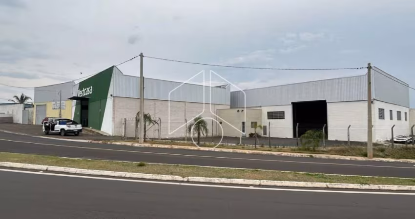 Comercial GalpãoBarracão em Vera Cruz