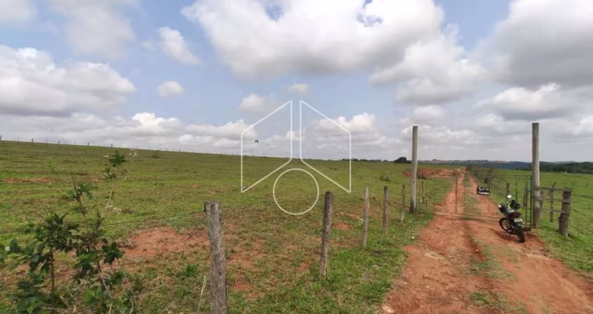 Terreno Área em Marília