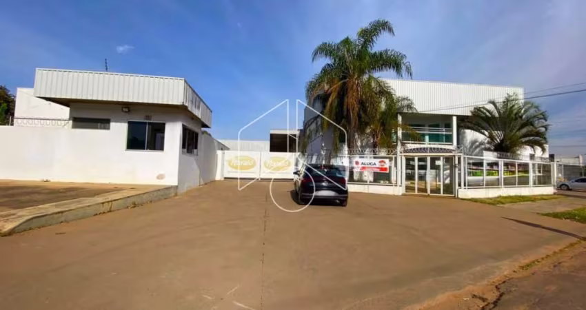 Comercial GalpãoBarracão em Marília